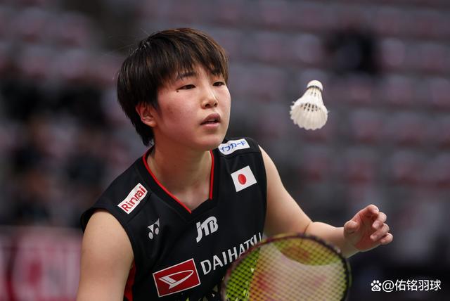 丹麦队轻取中国队，辛杜惊艳四座的简单介绍