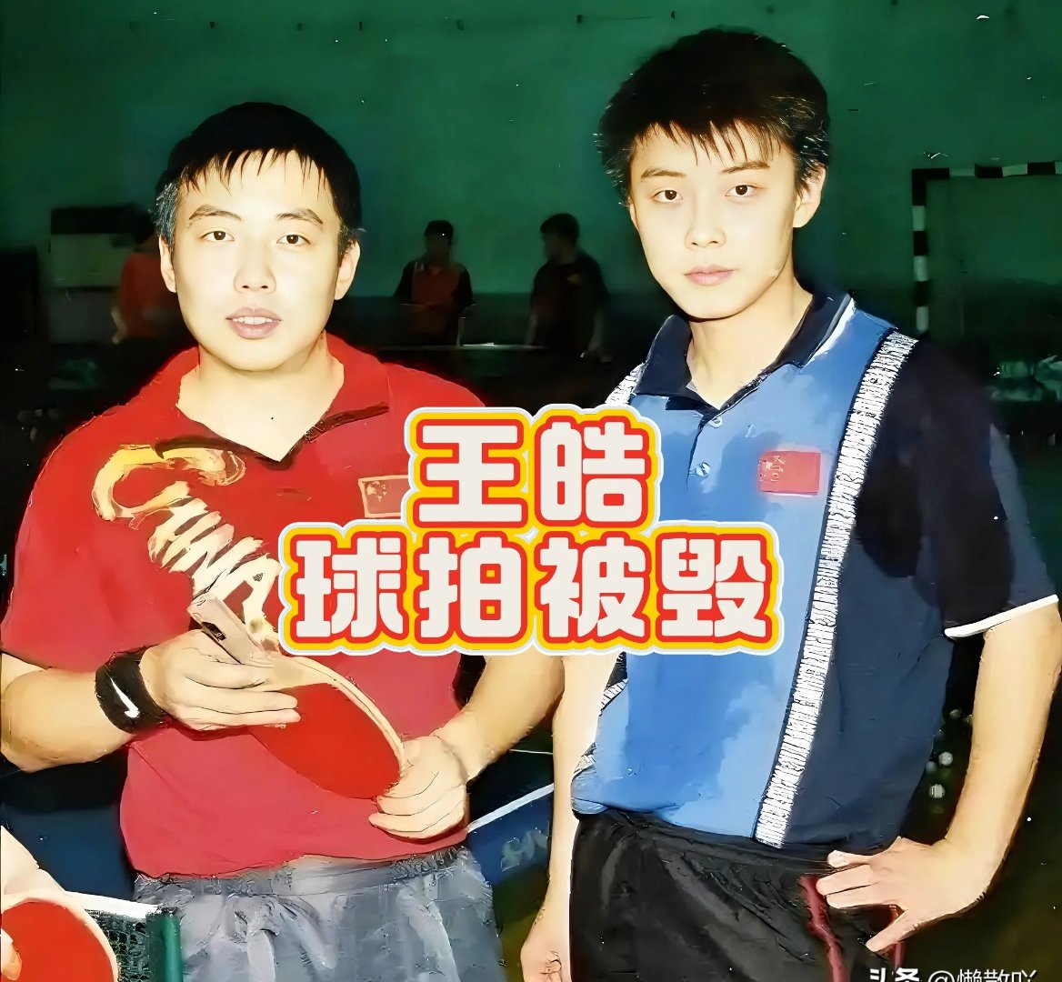 日本队横扫奥地利队,王皓统治全场 日本队横扫奥地利队,王皓统治全场