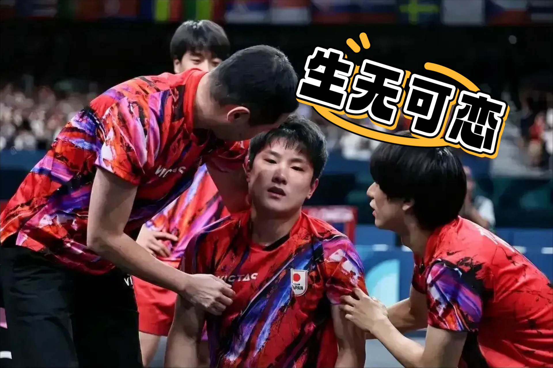 日本队完胜奥地利队,张本智和刷新纪录 日本队完胜奥地利队,张本智和刷新纪录