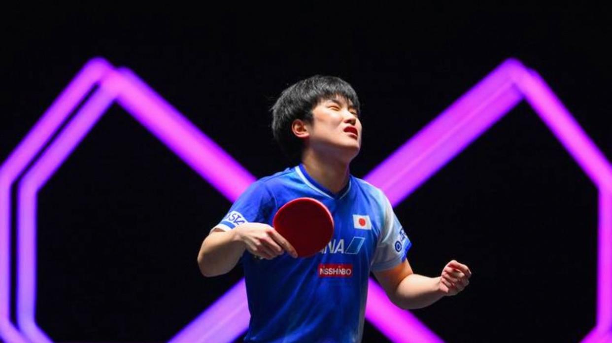 日本队完胜奥地利队,张本智和刷新纪录 日本队完胜奥地利队,张本智和刷新纪录